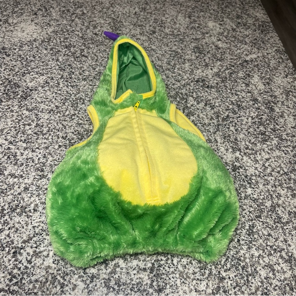 Spooky Nights Infant Halloween costume unisex 6-9 months Green Dragon warm